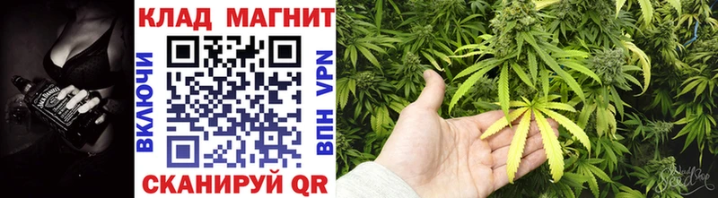 Магазины продажи наркотиков Качканар Кокаин  Бошки Шишки  Альфа ПВП  ГАШИШ  Псилоцибиновые грибы  Мефедрон 