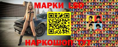 СК Дубна