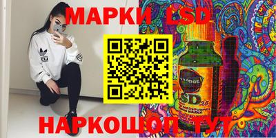 СК Дубна