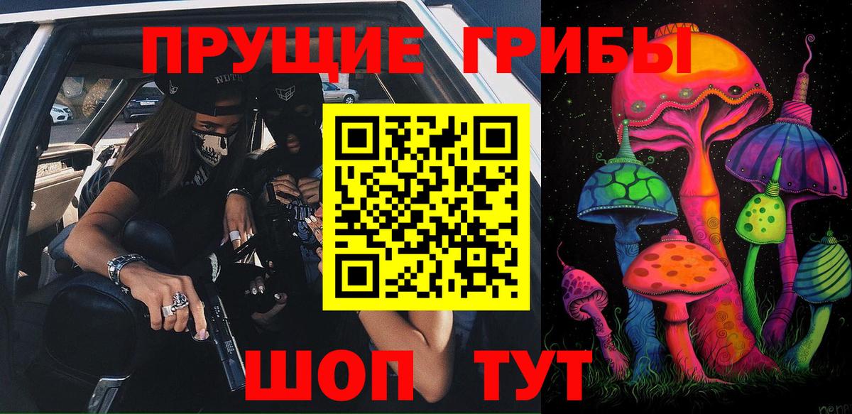 Псилоцибиновые грибы GOLDEN TEACHER Качканар